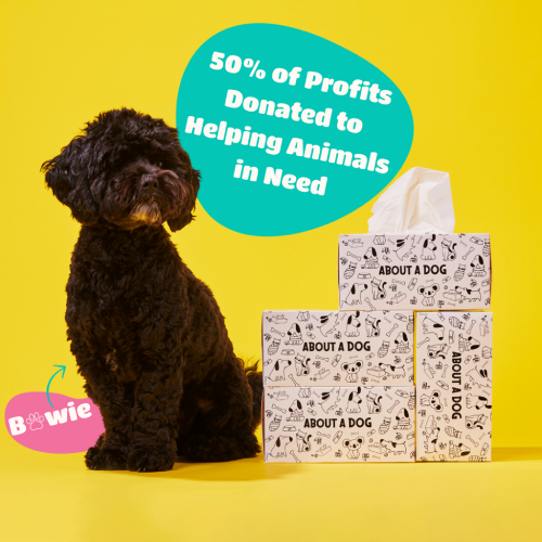Tissue 100 Recycled PAper 200S About A Dog BX3
