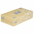 Facial Tissues Scott 100S 4725 CTN48