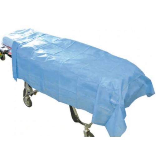 Flat Sheet Light Blue Disp Dpp20070 40 CTN100