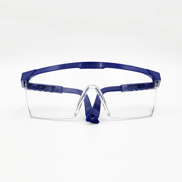 Safety Glasses, Clear, Carton of 300